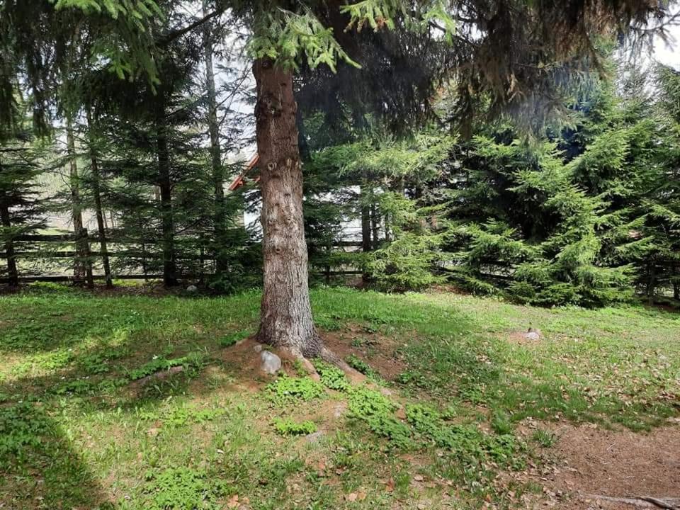 Вилла Piricske Pihenohaz Ciceu Экстерьер фото