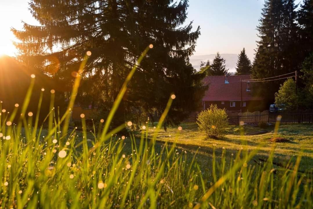 Вилла Piricske Pihenohaz Ciceu Экстерьер фото